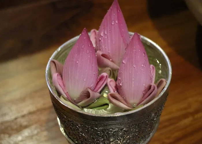 Savada Angkor Boutique Siem Reap